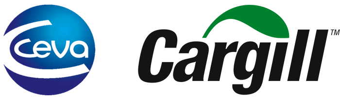 partner